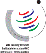 WTO Training Institute